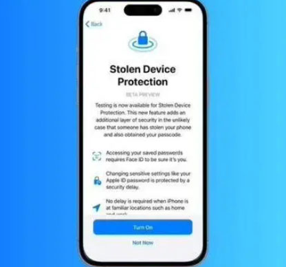 张家界苹果授权维修店分享被盗设备保护功能开启方法 