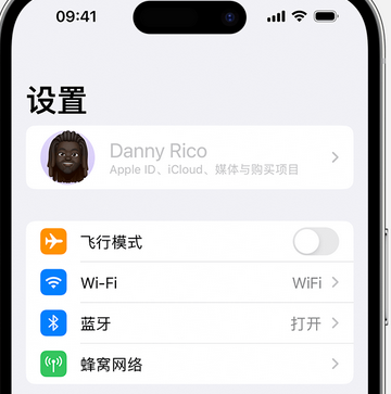 张家界appleID维修服务iPhone设置中Apple ID显示为灰色无法使用 