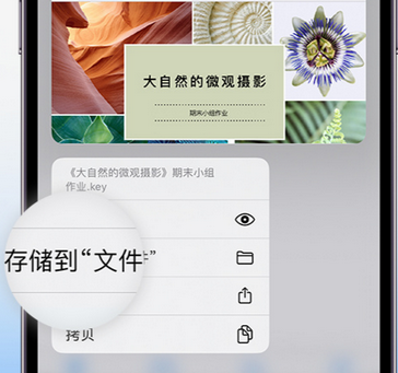 张家界apple维修中心分享iPhone文件应用中存储和找到下载文件