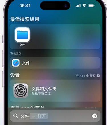 张家界apple维修中心分享iPhone文件应用中存储和找到下载文件 