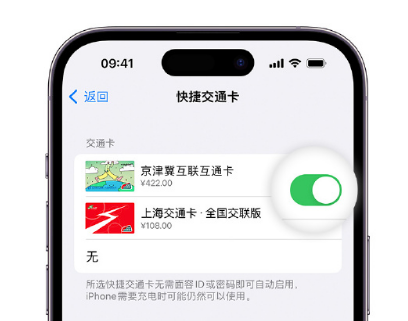 张家界apple维修点分享iPhone上更换Apple Pay快捷交通卡手绘卡面 