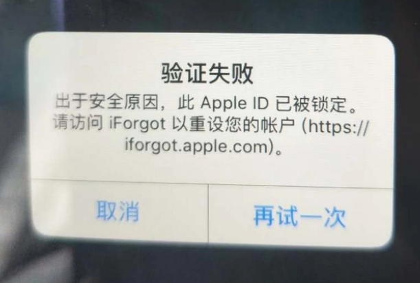 张家界iPhone维修分享iPhone上正常登录或使用AppleID怎么办 