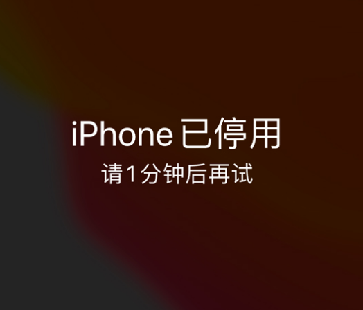 张家界苹果手机维修分享:iPhone 显示“不可用”或“已停用”怎么办？还能保留数据吗？ 