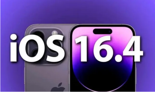 张家界苹果14维修分享：iPhone14可以升级iOS16.4beta2吗？ 