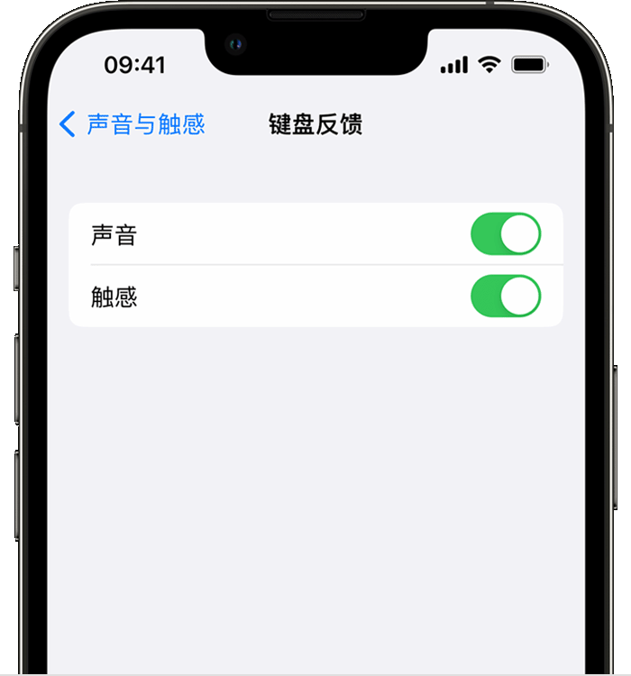 张家界苹果14维修店分享如何在 iPhone 14 机型中使用触感键盘 