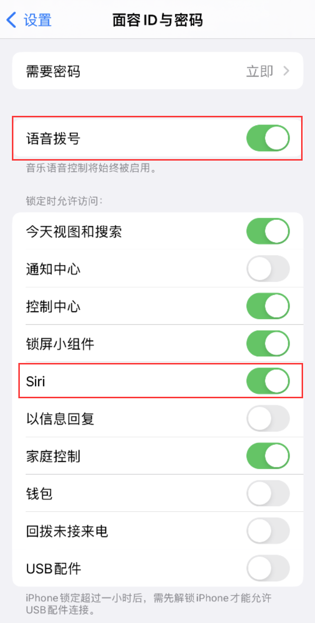 张家界苹果维修网点分享不解锁 iPhone 的情况下通过 Siri 拨打电话的方法 