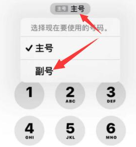 张家界苹果14维修店分享iPhone 14 Pro Max使用副卡打电话的方法 