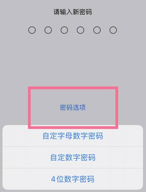 张家界苹果14维修分享iPhone 14plus设置密码的方法 