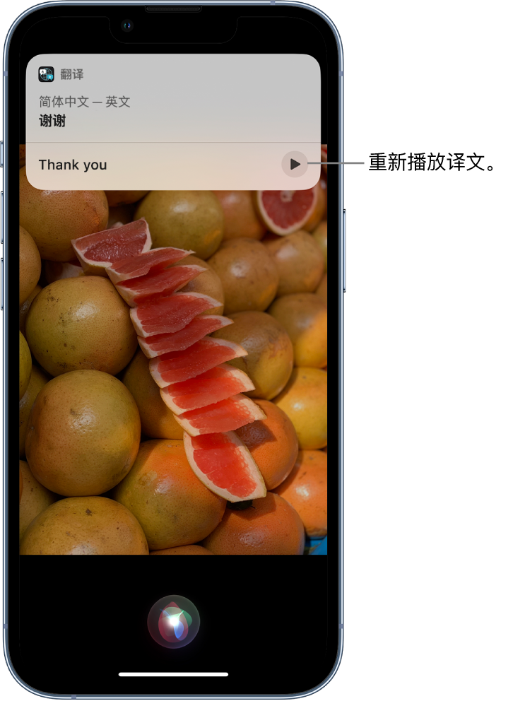 张家界苹果14维修分享 iPhone 14 机型中使用 Siri：了解 Siri 能帮你做什么 