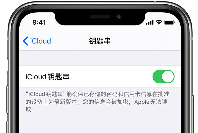 张家界苹果手机维修分享在 iPhone 上开启 iCloud 钥匙串之后会储存哪些信息 